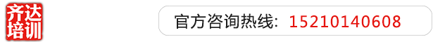 鸡巴艹逼网站齐达艺考文化课-艺术生文化课,艺术类文化课,艺考生文化课logo